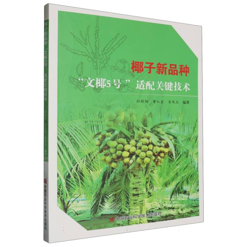 椰子新品种文椰5号”适配关键技术