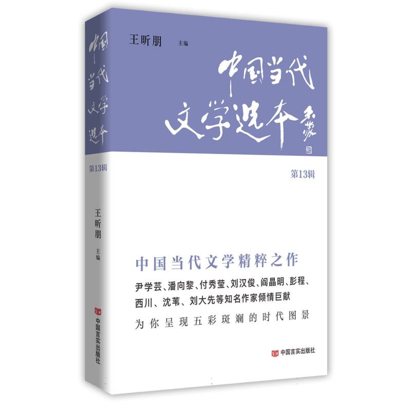 中国当代文学选本(第13辑)