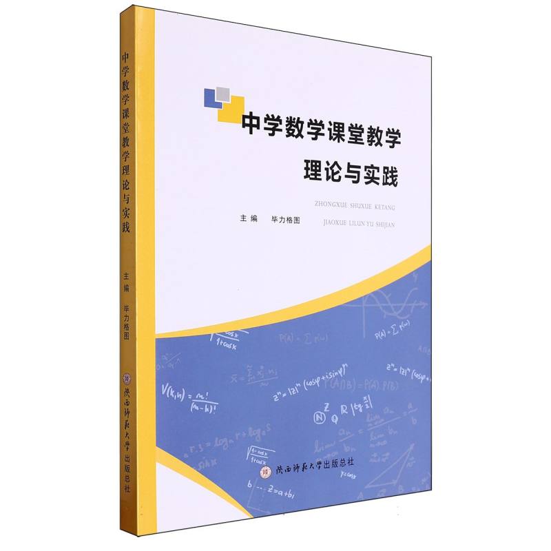 中学数学课堂教学理论与实践