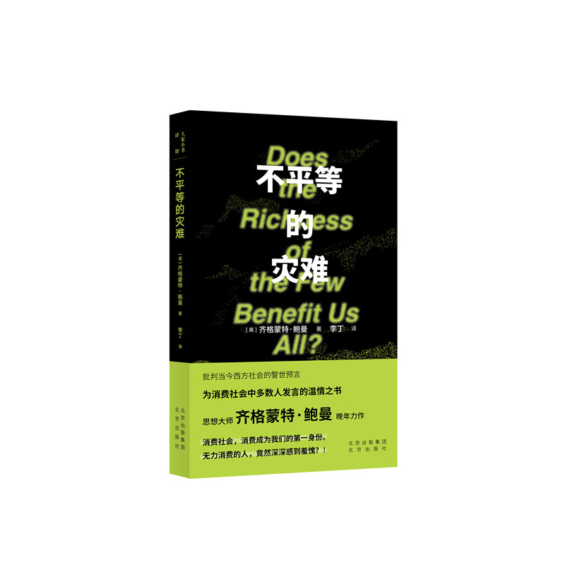 不平等的灾难/大家小书译馆