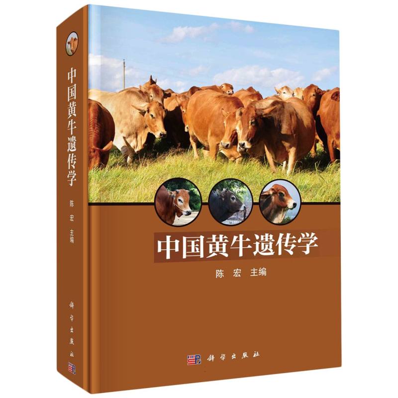 中国黄牛遗传学(精)