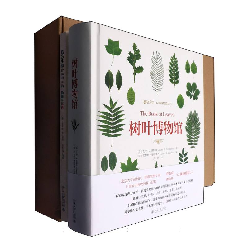 树叶博物馆（赠品盒装版）
