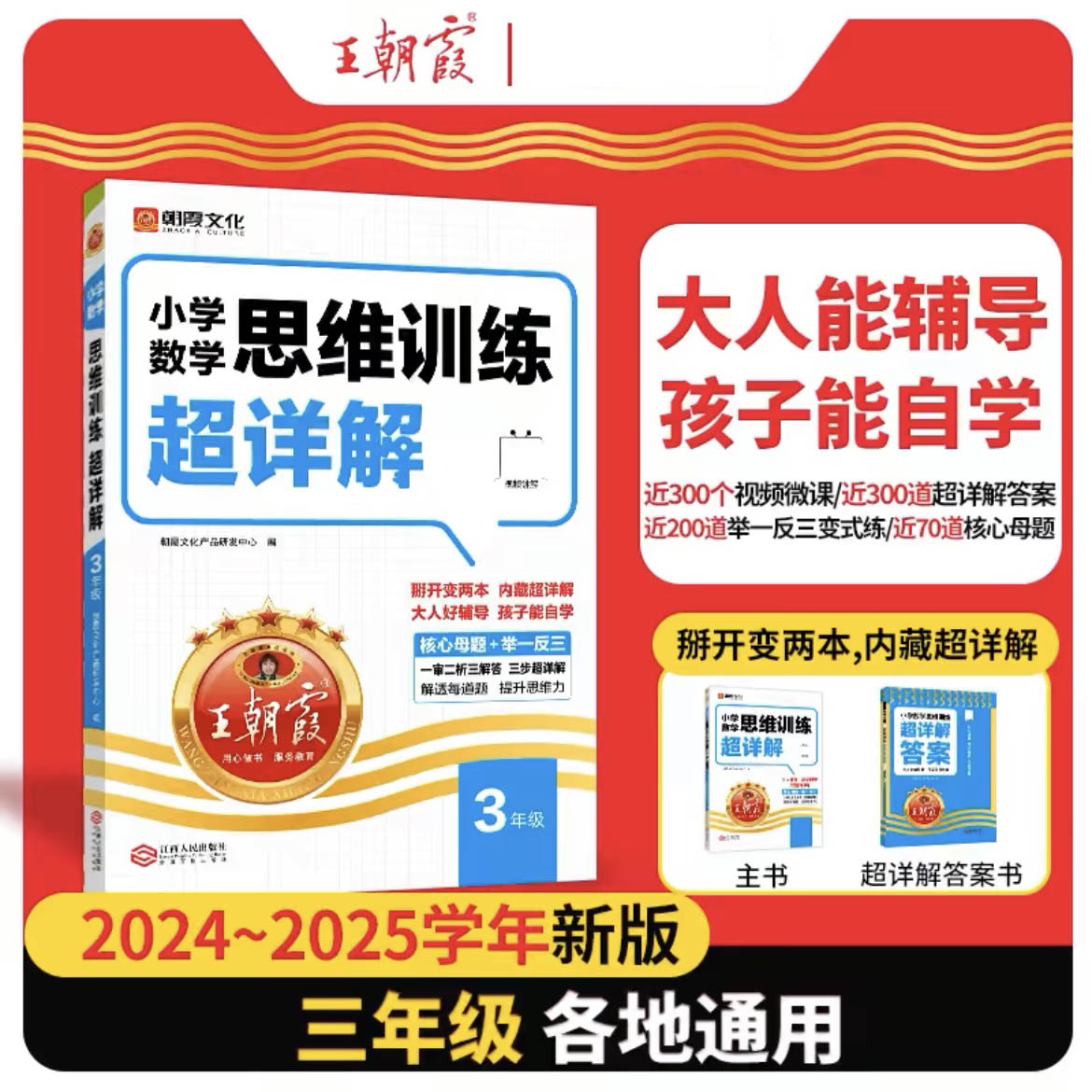 2024 王朝霞小学数学思维训练超详解 三年级