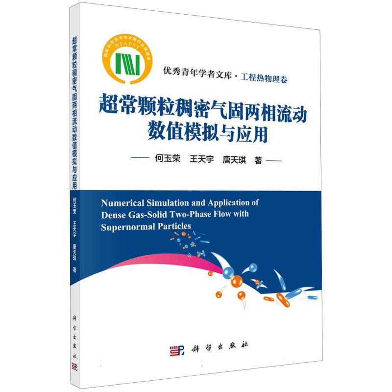 超常颗粒稠密气固两相流动数值模拟与应用/优秀青年学者文库