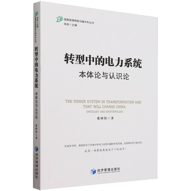 转型中的电力系统(本体论与认识论)/国家能源转型与碳中和丛书