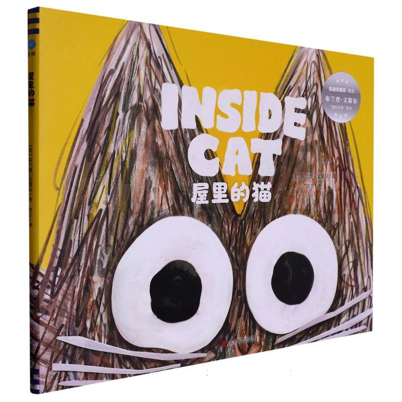 屋里的猫