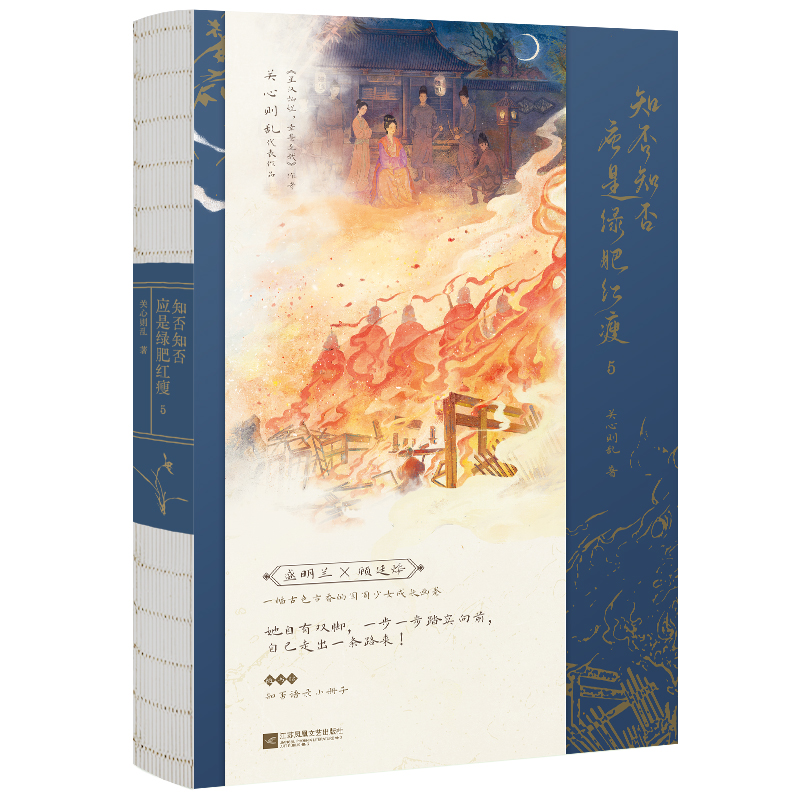 知否知否应是绿肥红瘦(5)