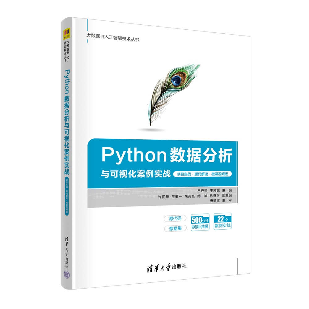 Python数据分析与可视化案例实战(项目实战源码解读微课视频版)/大数据与人工智能技术 