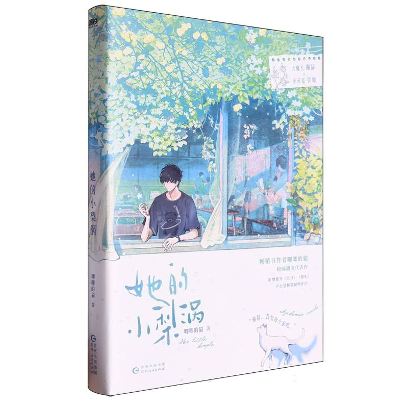 她的小梨涡 普通本飞机盒