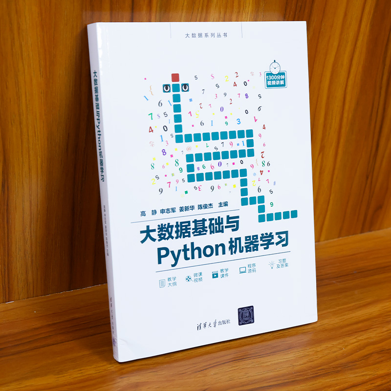 大数据基础与Python机器学习/大数据系列丛书