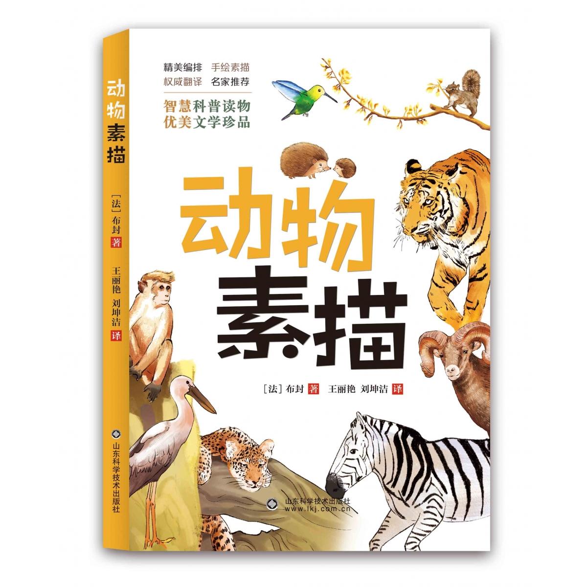 动物素描