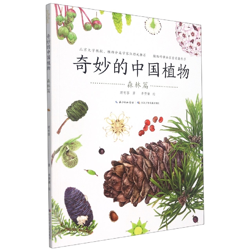 奇妙的中国植物·森林篇