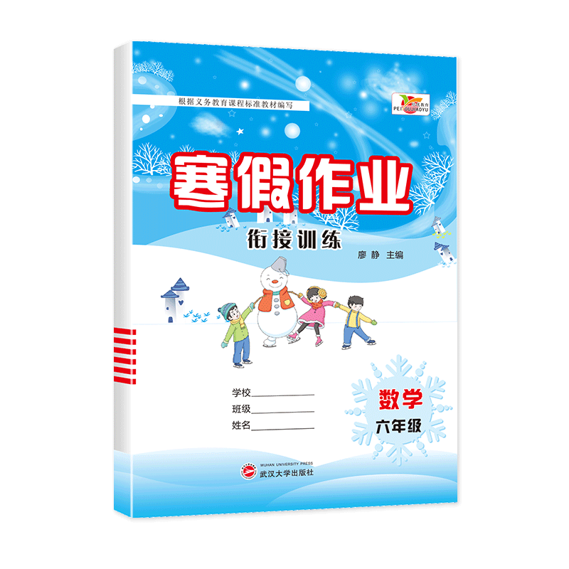寒假作业衔接训练数学人教六年级