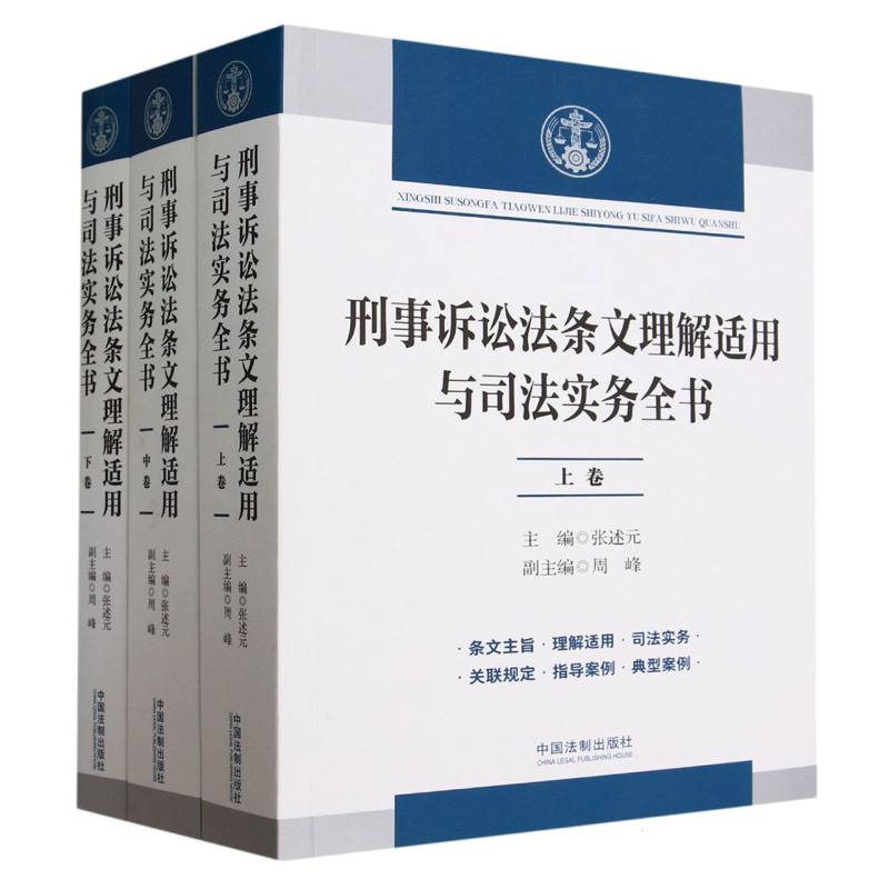 刑事诉讼法条文理解适用与司法实务全书(上中下)