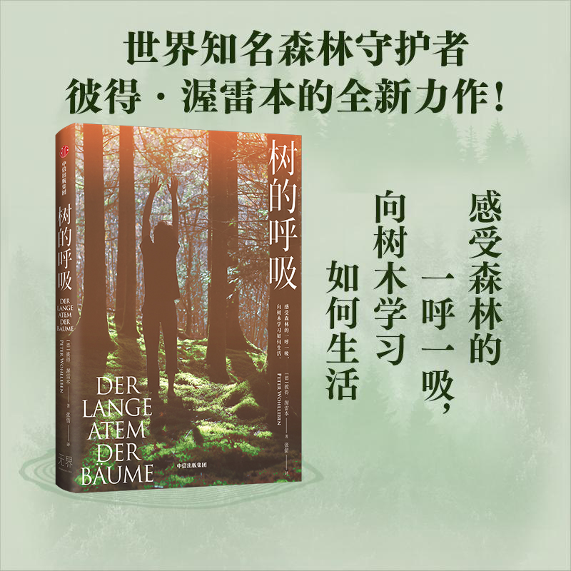 树的呼吸