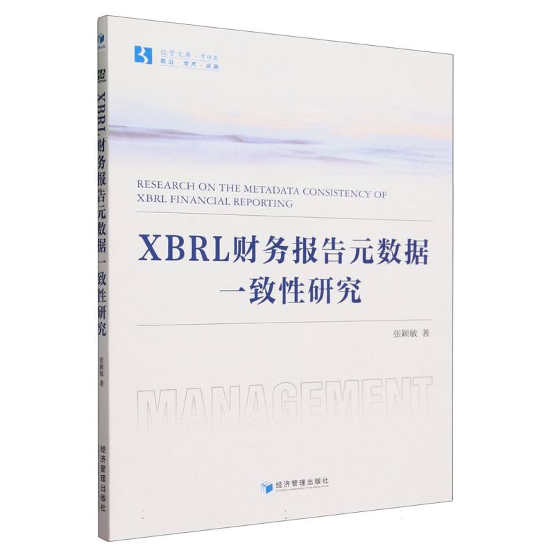 XBRL财务报告元数据一致性研究/经管文库