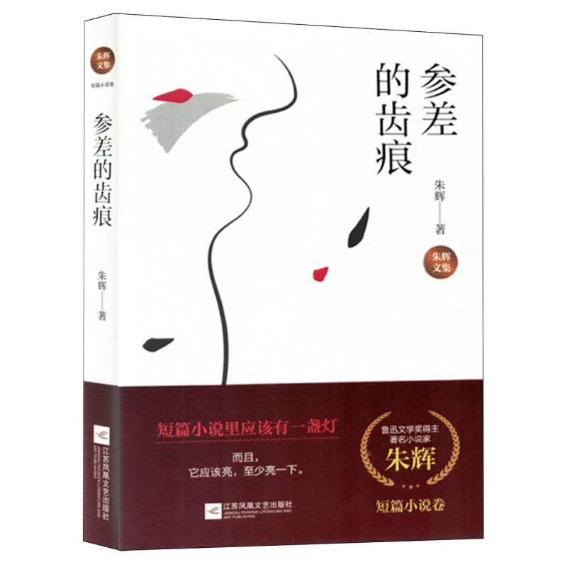朱辉文集：参差的齿痕