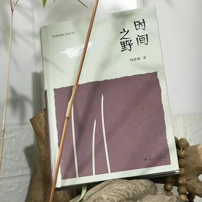 时间之野(精)