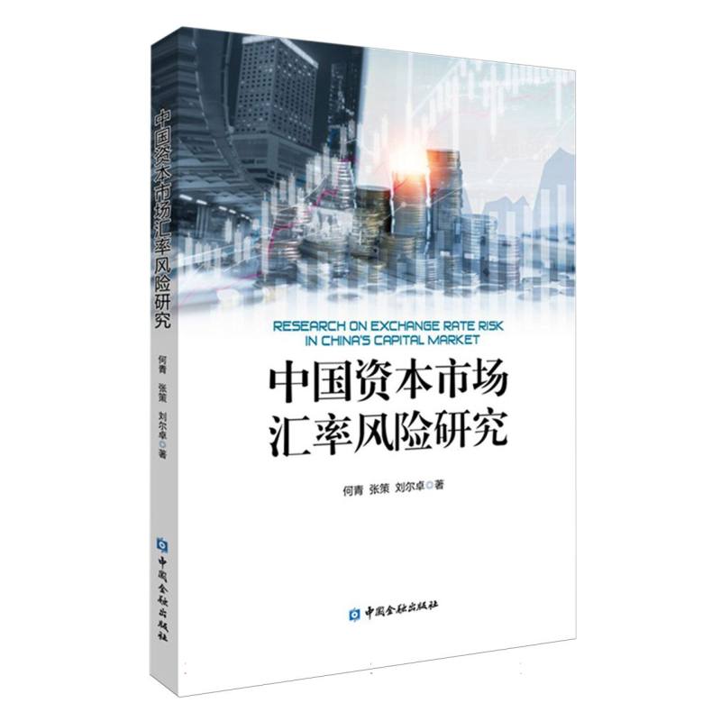 中国资本市场汇率风险研究