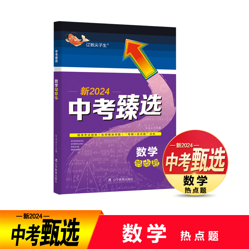 中考臻选. 数学热点题