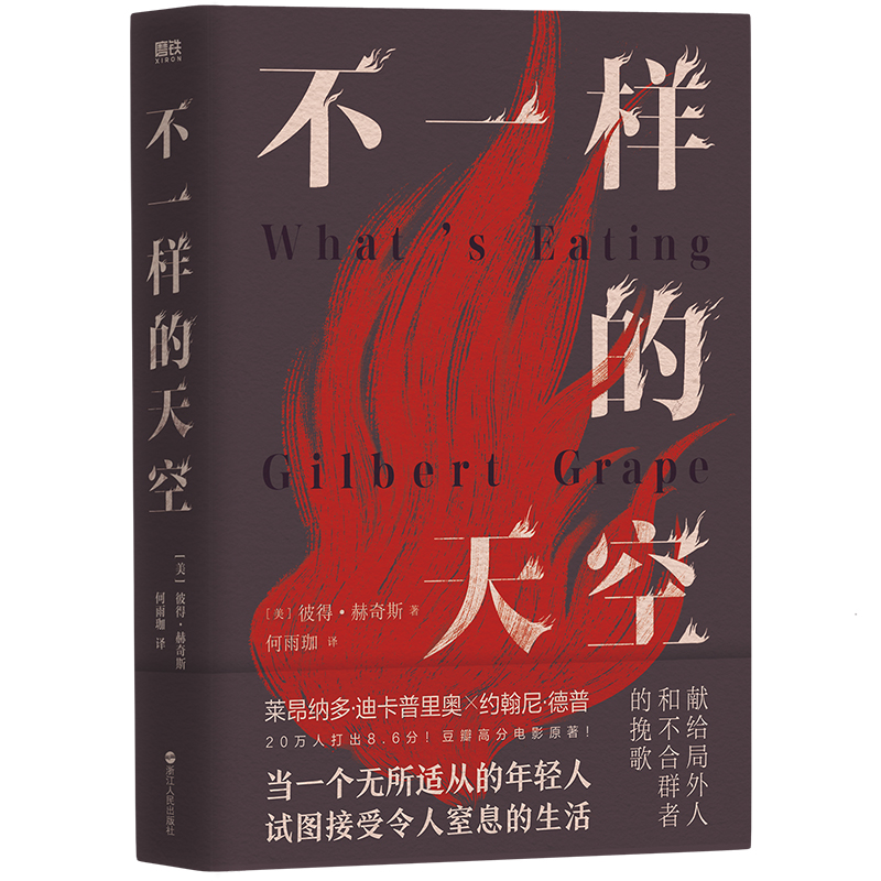不一样的天空