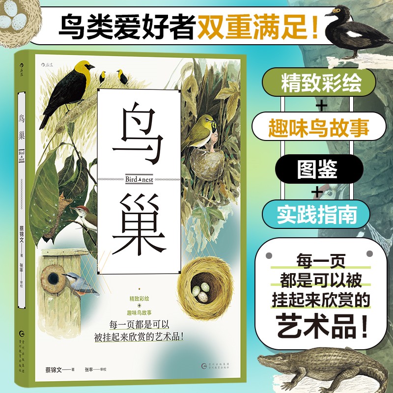 鸟巢