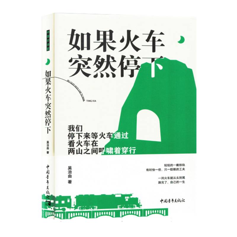 中国当代诗集：如果火车突然停下