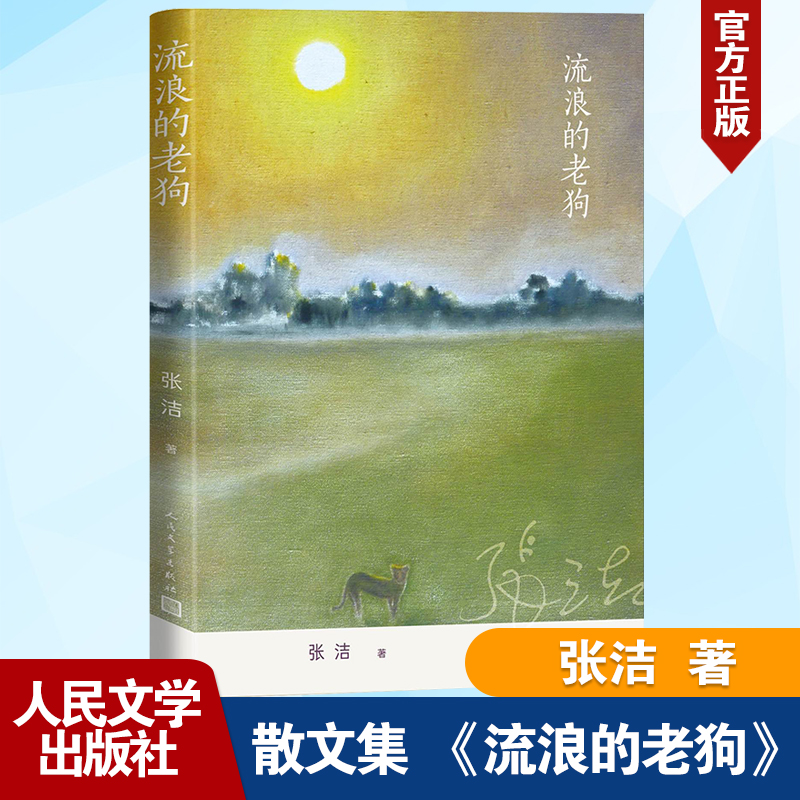 流浪的老狗