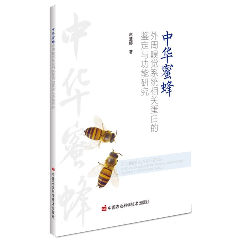 中华蜜蜂外周嗅觉系统相关蛋白的鉴定与功能研究