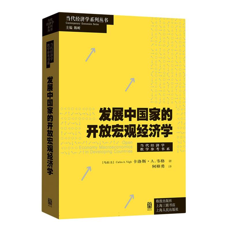 发展中国家的开放宏观经济学