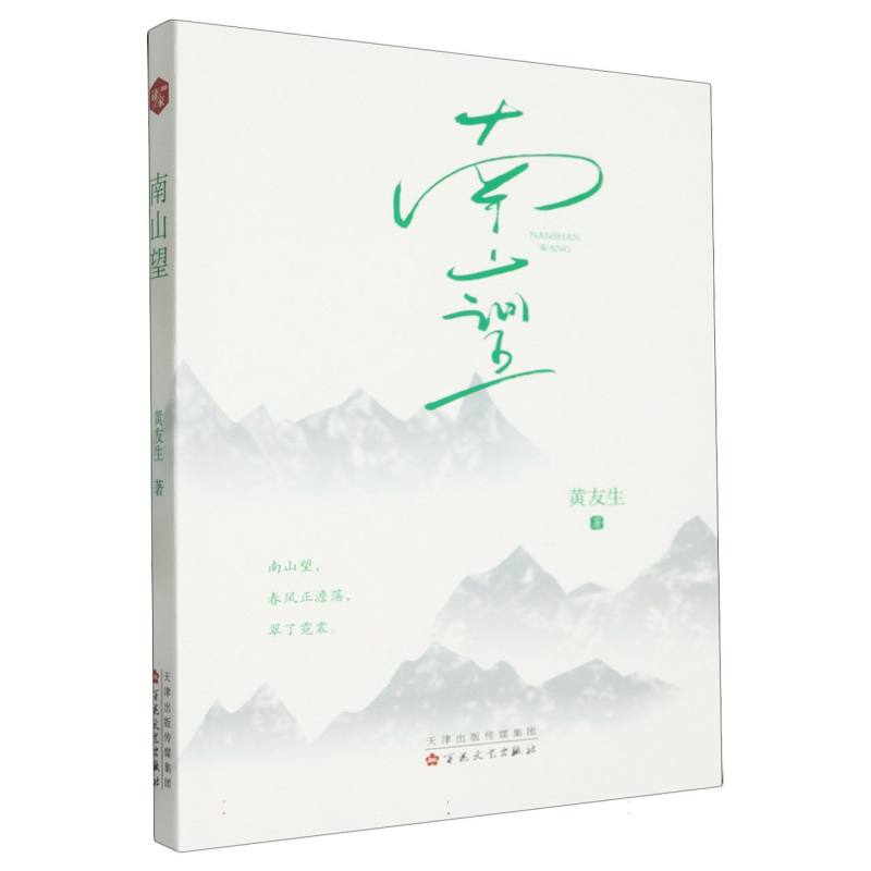 南山望