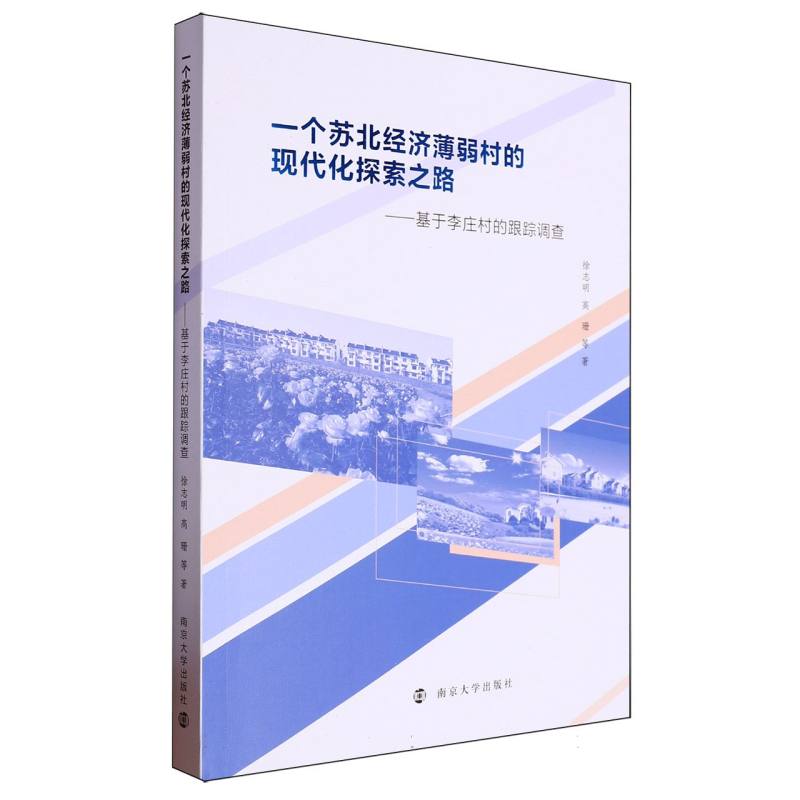 一个苏北经济薄弱村的现代化探索之路