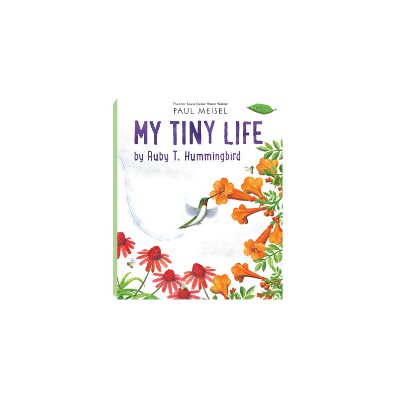 My Tiny Life By Ruby T. Hummingbird