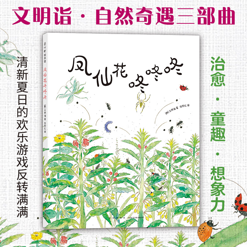 凤仙花咚咚咚
