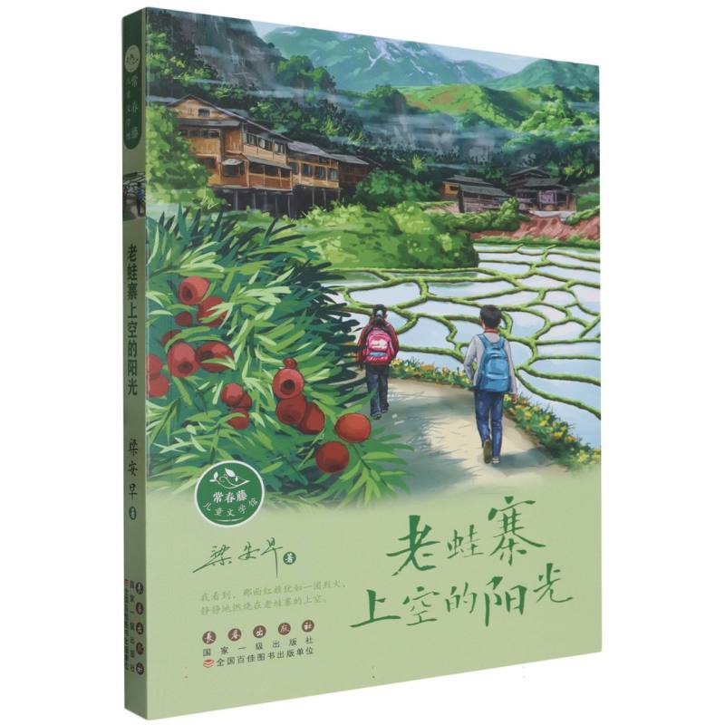 常春藤儿童文学馆丛书:老蛙寨上空的阳光