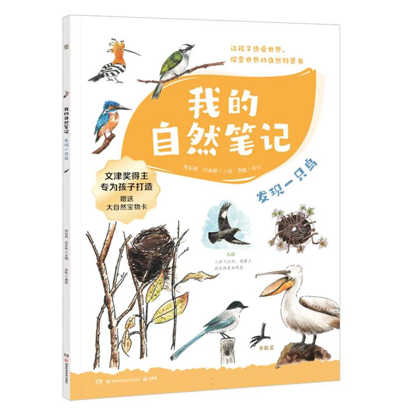 发现一只鸟/我的自然笔记
