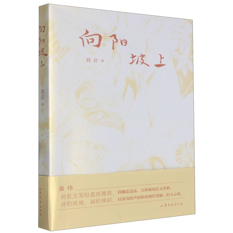 向阳坡上