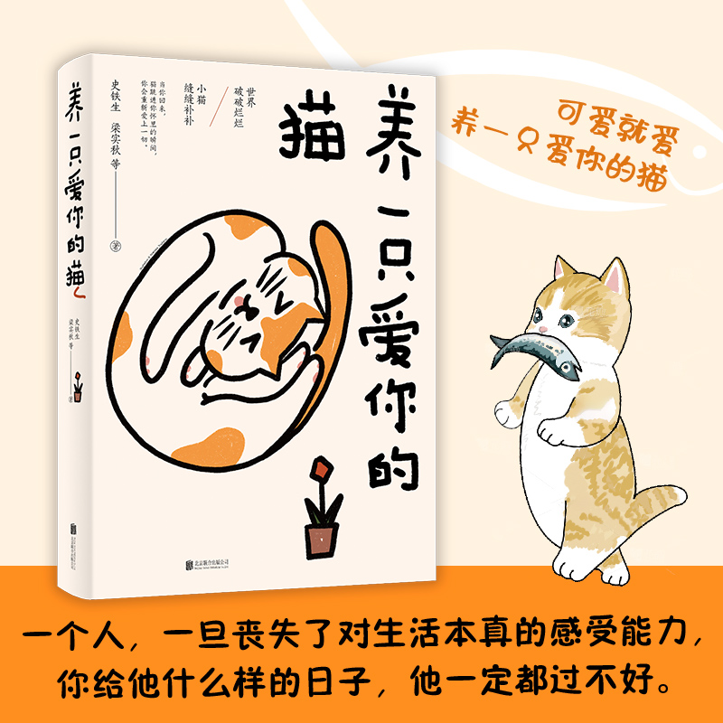 养一只爱你的猫