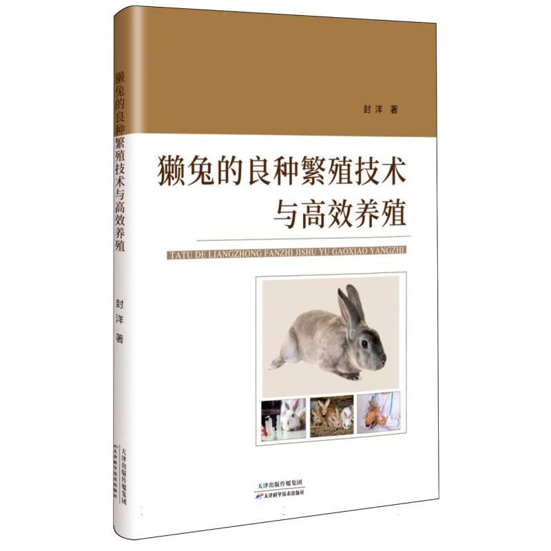 獭兔的良种繁殖技术与高校养殖