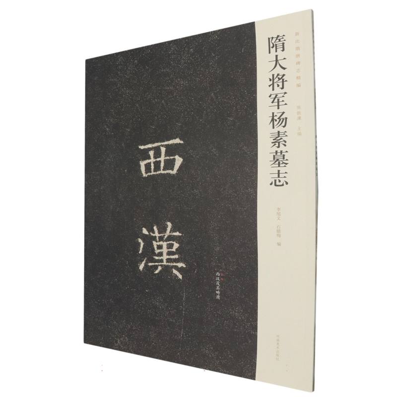 隋大将军杨素墓志/新出隋唐碑志精编