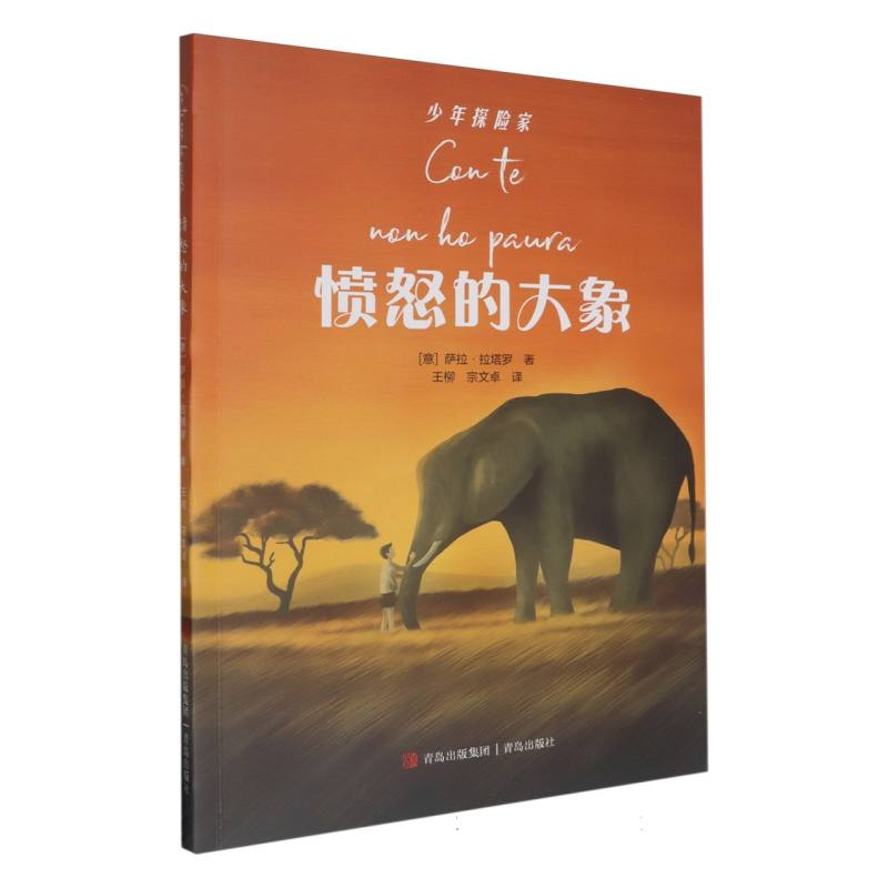 愤怒的大象/少年探险家