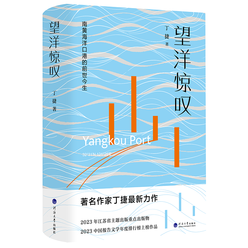 望洋惊叹