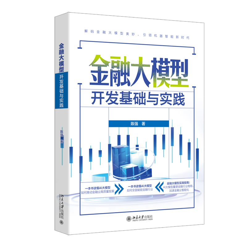 金融大模型开发基础与实践
