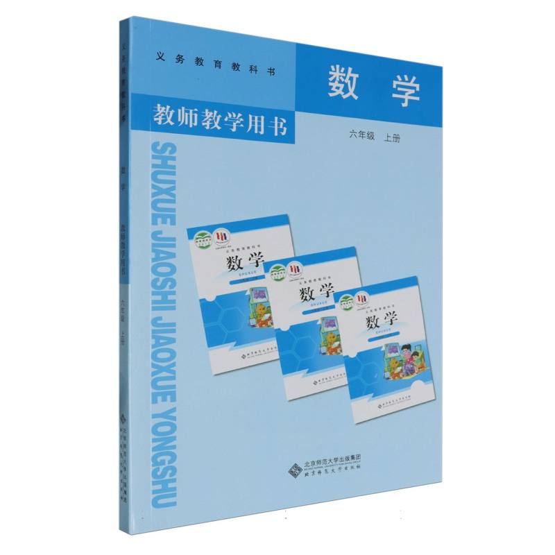 数学教师教学用书（附激活卡6上）/义教教科书