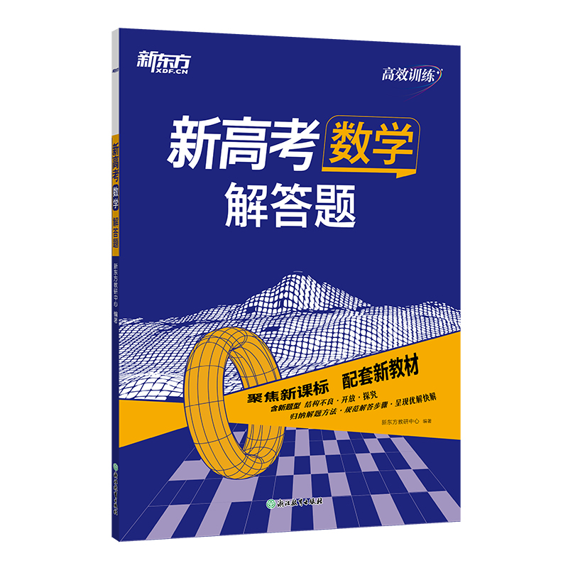 新东方 (25)高效训练：新高考数学 解答题