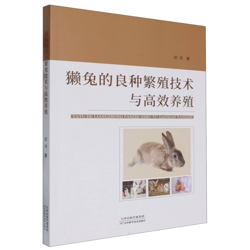 獭兔的良种繁殖技术与高校养殖