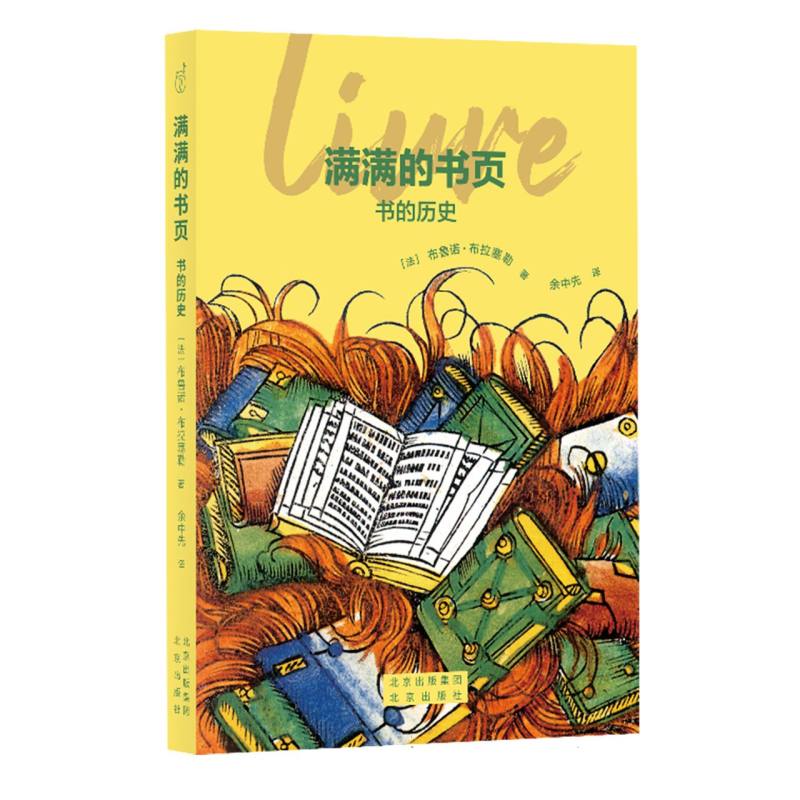 满满的书页:书的历史/大家小书