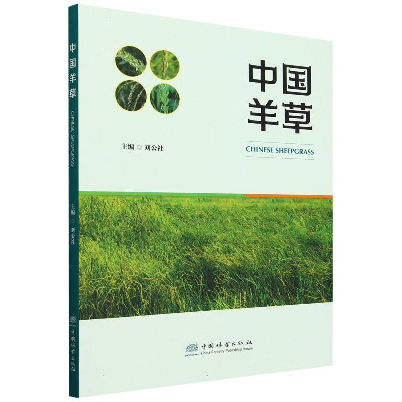 中国羊草
