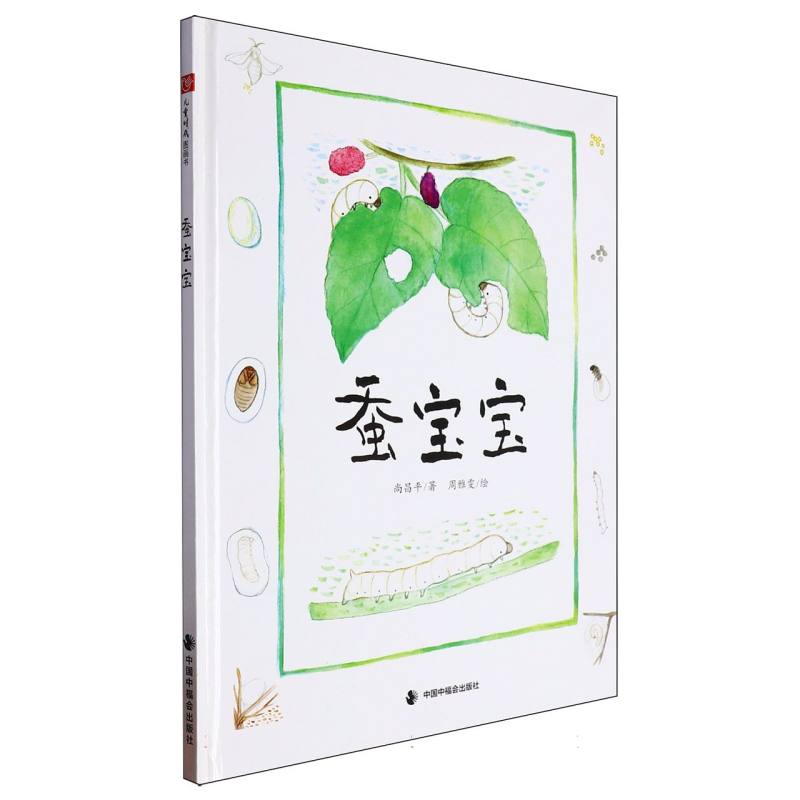 蚕宝宝