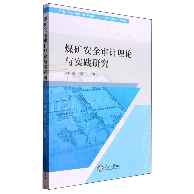 煤矿安全审计理论与实践研究